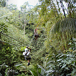 Thumb for Zip Line